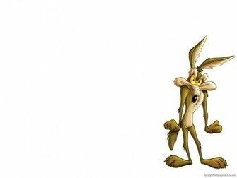 Coyote Wallpaper