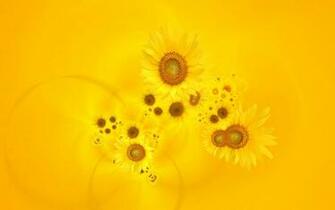 Bright Yellow Sunflowers Wallpaper HD