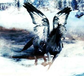 Black Pegasus Wallpaper
