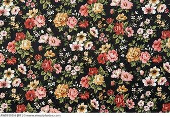 Floral Print Denim By Rvca