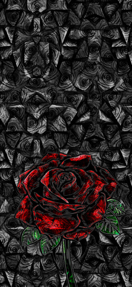 iPhone Pro Max Wallpaper Roses And Spikes By Rix Wn