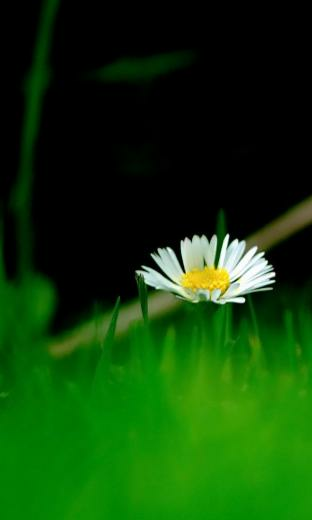 Wallpaper Blackberry Z10
