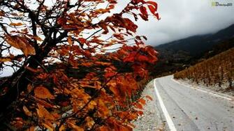 Autumn Superb HD Design Wallpaper