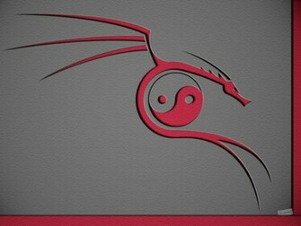 Drag O Yin Yang Vetor