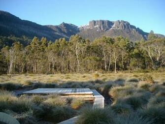 Stock Photo Of Boardwalk On Frosty Morning In Tasmania