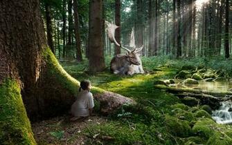 Enchanted Forest Wallpaper