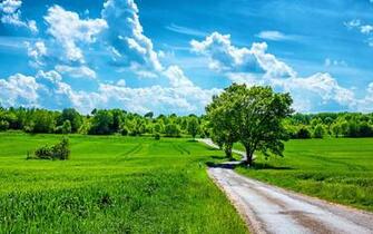 Beautiful Summer Day HD Wallpaper