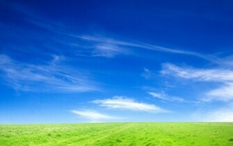 Blue Sky And Green Grass Wallpaper HD