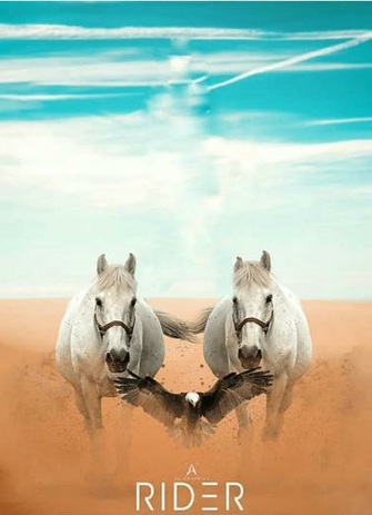Cb Background HD Photo Editing Picsart
