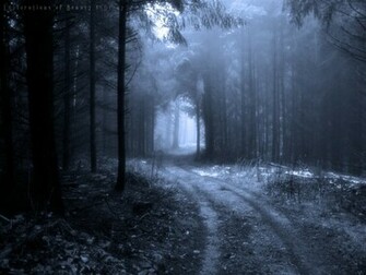 Dark Forest Background Wallpaper HD Background Desktop