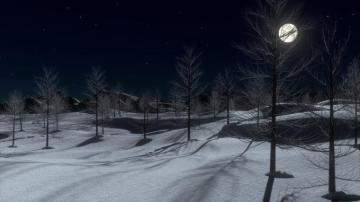 Full Moon On A Winter Night HD Wallpaper Background Image