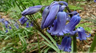 Spring Desktop Wallpaper Amazing Collection High Definition
