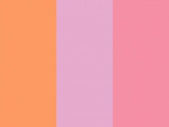 Pink Orange Pearl Sherbet Three Color Background Jpg