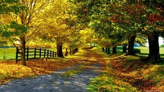 Nature Wallpaper