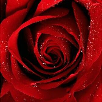 iPad Apple Type Wallpaper For N