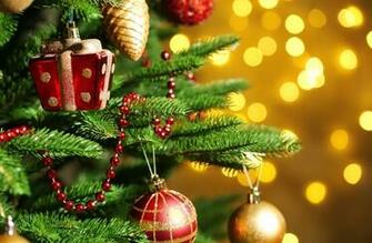 Holiday Mood Ultra HD Wallpaper UHD Net