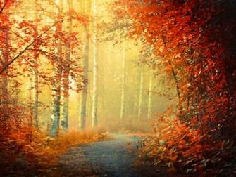 Tunnel Of Love High Quality And Resolution Wallpaper On