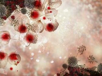 Chinese Lantern Wallpaper