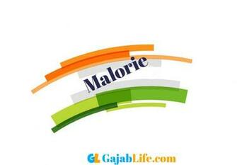 Create Your Republic Day Wallpaper Malorie With Name Profile