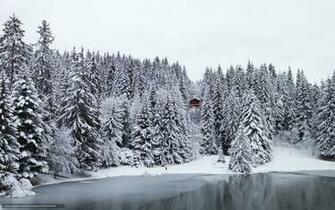 Wallpaper Winter Lake Forest Trees Snow Original