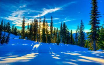 Sunlight Reflecting In The Snow Wallpaper Nature