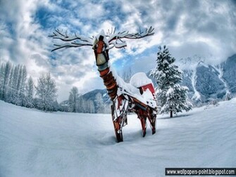 Winter Wonderland Wallpaper