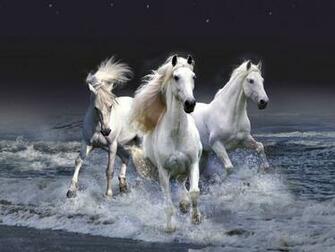 Beautiful Wallpaper Wild Horses