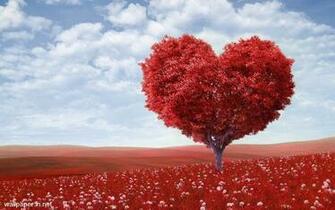 HD Wallpaper 1080p Widescreen Nature