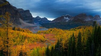 Autumn Landscape Wallpaper Background