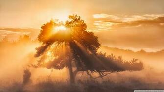 Morning Sun 4k HD Desktop Wallpaper For Ultra Tv Tablet