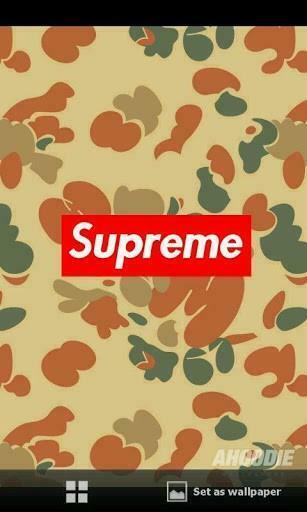 Supreme Library Reference Social Security