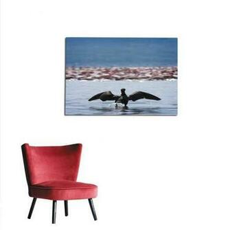 Amazon Homehot Photographic Wallpaper Lake Nakuru Kenya Mural