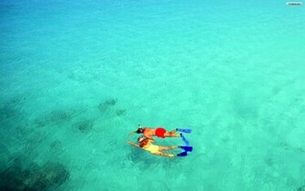 Youwall Diving Wallpaper Photo
