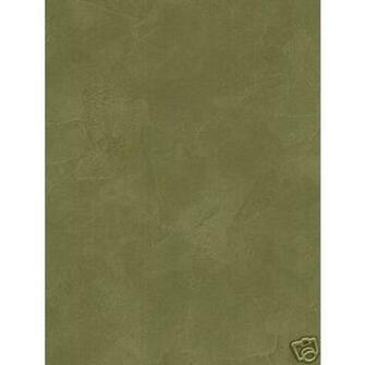 Olive Venetian Plaster Faux Wallpaper All Walls