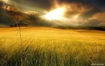 Back Gallery For Windows Landscape Wallpaper