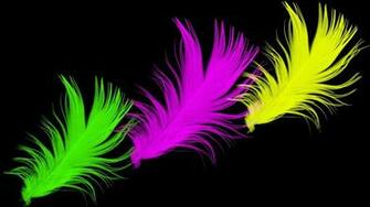 Bright Color Wallpaper Full HD Wallpaperask