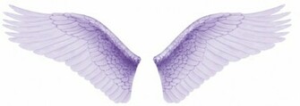 Angel Wings Wing Tattoos Pictures Of