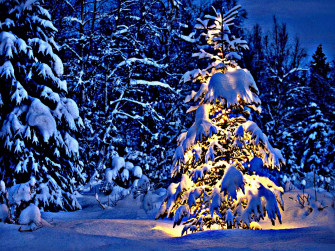 Christmas Vacation Wallpaper