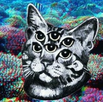 Trippy Cat Pictures Photos And Image For