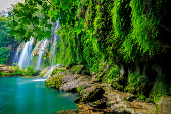 Tropical Forest 4k Waterfall Rare Gallery HD Wallpaper