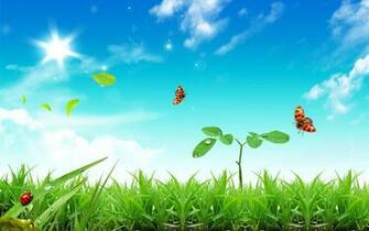 Fresh Life Wallpaper HD