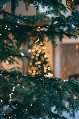 The Best Christmas Photography Theme In Wpc Official