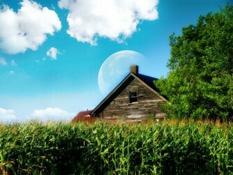 3d Wallpaper New Year