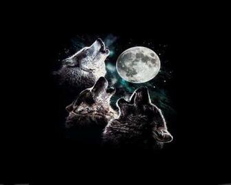 Moon Wolf Quotes