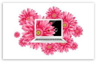 Laptop HD Wallpaper For Standard Fullscreen Uxga Xga Svga