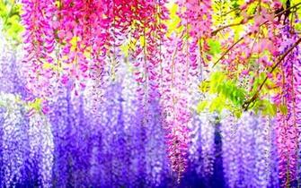Awesome Colorful Background Sf Wallpaper
