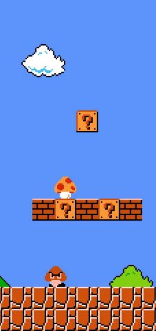 Video Game Super Mario Bros