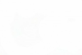 White Background