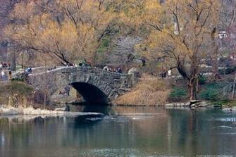 Gena Koch Central Park Wallpaper
