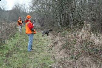 Bow Hunting Pheasants Is Cheap Fun